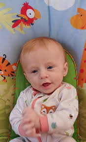 Eli Michael Fred Segal Obituary January 2, 2024