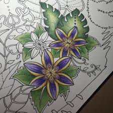 Jun 22, 2021 · colouring may seem like a very simple exercise of illuminating surfaces with hues, but its restorative and therapeutic aspects are many. Magical Jungle Coloring Book Finished Pages Coloring And Drawing