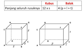 Perbedaan antara balok dan kubus diantaranya adalah. Jaring Jaring Balok Pengertian Ciri Sifat Rumus Gambar