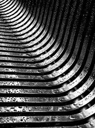 Abstract Black And White Macro Photography In Some Ways If You Look At The Abstract Macro Photography Examples It Does Not Represe Macro Photography Abstract Abstract Photography Texture Photography