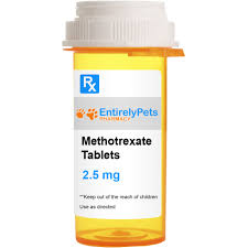 Image result for Methotrexate