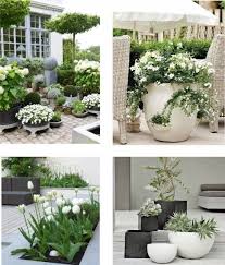 Weiss Und Grun In Einem Zaun Weiss Und Grun In Einem Zaun Einem The Post Weiss Und Grun In Einem Zaun White Gardens Front Yard Landscaping Garden Inspiration