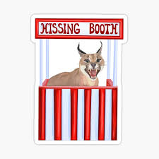 Every Time I'Ve Seen Videos Of Caracals, They'Re Always Hissing At Someone  Or Something. Don'T Caracals Ever Do Anything Other Than Hiss? - Quora