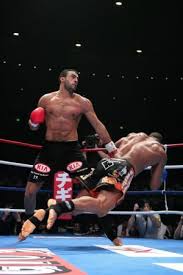Badr Hari Vs Alistair Overeem Arts Martiaux Martial Sport