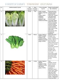 Maybe you would like to learn more about one of these? Identifikasi Tanaman Sayuran