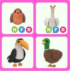 Ty to all my fans and everyone wh. Toucan Drake Nfr Robin Nfr Swan Adopt Me Roblox Video Gaming Gaming Accessories Game Gift Cards Accounts On Carousell