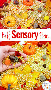 Thanksgiving sensory tub for preschoolers. Fall Sensory Bin For Toddlers And Preschoolers Natural Beach Living