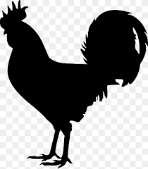 Unduh stok vektor ayam jantan pada agen grafik vektor terbaik dengan jutaan stok vektor, ilustrasi dan clipart premium berkualitas tinggi bebas royalti dengan harga yang wajar. American Game Old English Game Fowl Sumatra Chicken Wall Decal Sticker Rooster Galliformes Chicken Monochrome Png Pngwing