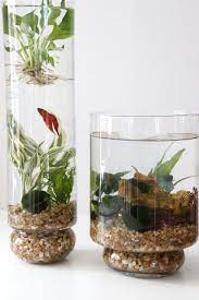 Can you make an indoor water garden in a vase? How To Make An Indoor Water Garden Hgtv Gardens Indoor Water Garden Plants Indoor Plants