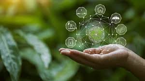 What is Carbon Offsetting and why is it important? - EU Business News