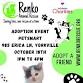 Renko Adoption Event @ Yorkville Petsmart event image