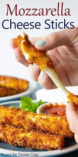 mozzarella sticks recipe appetizer recipes restaurant appetizers cheesy appetizer