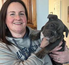 Castle Ridge Utah Bulldog Pups