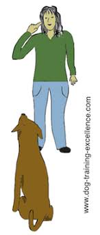 Dog Training Hand Signals A Picture Instructional Guide