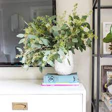 When Trader Joe S Has Seeded Eucalyptus You Buy It All Psa Friends Go To There Stat And Really Sometimes All A V Seeded Eucalyptus Eucalyptus Trader Joes