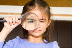 Launching EcoEducate