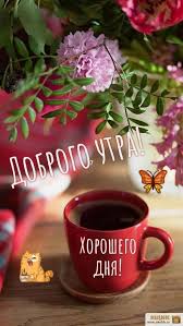 открытки с пожеланиями с добрым зимним утром скачать бесплатно Uyutnye Kartinki S Dobrym Zimnim Utrom V 2020 G Dobroe Utro Otkrytki Utrennie Citaty