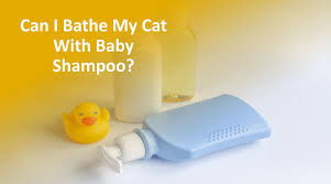 I bathe her weekly and do a very thorough job, but the smell keeps coming back. Is Baby Shampoo Safe For Cats Ipetcompanion
