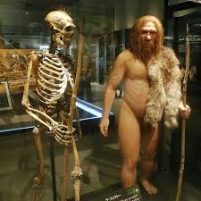 Disegni chiesti da silvi, antonella, sonia 76, cristina, angela, maria elena, elisa, alessandra, maurizio,tin e anna p, elisabetta l. L Uomo Di Neanderthal Scuola Primaria Maestralu