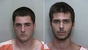 Brothers charged in home, vehicle burglaries