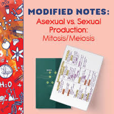 The process of mitosis and the physiology of cell division are also considered. Mitosis And Meiosis Reading Worksheets Teaching Resources Tpt