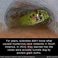 For Years Scientists Didn T Know What Caused Mysterious Cave Networks In South America In 2010 They Learned That Unbelievable Facts Creepy Facts Weird Facts