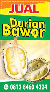 Pohon durian ini tinggi, besar, berbanir, dan daunnya sama dengan durian biasa, hal yang membedakannya dengan durian lainnya adalah warna kulit merah kehitaman dengan duri yang lebih tajam dan lancip serta memiliki rasa yang berbeda tetapi dipercaya tetap lezat oleh masyarakat. Spanduk Durian Agen87