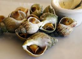 Cuisson Des Bulots Nos Conseils Pour Une Cuisson Reussie Recette Recette Escargot Recette Mayonnaise Recette Asiatique