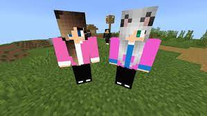The most famous batman's sidekick robin, nightwing, red robin, batgirl and batwoman. Insane Universe Npc Minecraft Pe Mods Addons