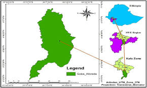 Image result for Hippocratea goetzei