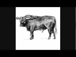 We did not find results for: How To Draw A Bull Things To Draw Youtube