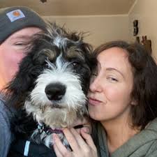 Bernedoodle Testimonies