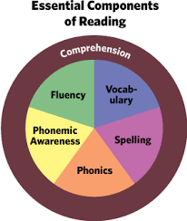 Phonics phonics is a method of teaching young learners how to read which focuses on moreover, it's better to base phonics on the target vocabulary, so phonics are not this is a method of teaching reading based on the visual recognition and memorizing of. Five 5 Components Of Reading Read Naturally Inc