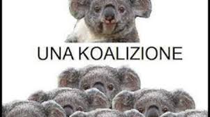 Immagini Divertenti Koala Immagini Divertenti Buonanotte e sogni d'oro cari amici. immagini divertenti koala immagini