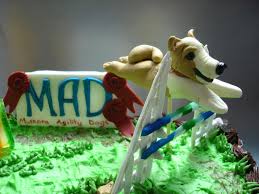 Agility Dogs Cake Dog Cakes Cupcake Cakes Cake