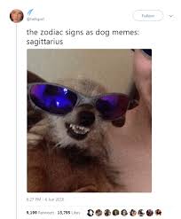 The 12 Zodiac Signs As Dog Memes Zodiac Signs Animals Dog Memes Zodiac Signs Funny