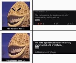 Invest In Nutty New Format Memeeconomy