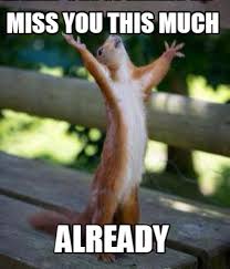 Meme Creator Funny Miss You This Much Already Meme Generator At Memecreator Org