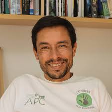 Identifican patrones sorprendentes en árboles de bosques tropicales de  África, Amazonía y el sudeste asiático