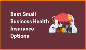 Prices and benefits can vary significantly. Best Health Insurance Options For Small Businesses R Startups