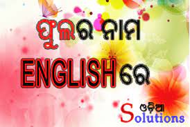 Learn basic english grammar life saving flowers names of fruits a to z କେଶ ସମସ୍ୟାର ଆ. Information That We Want Odia Flower Names In English