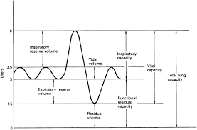 Lung Capacity An Overview Sciencedirect Topics