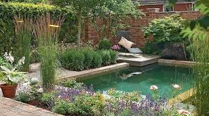 Pin By Chansaerae Designs Llc Dmv I On Swimming Pool Ideas Pool Landscaping Backyard Pool Swimming Pond