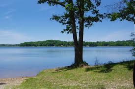 Bunların içinde beyaz lake, ceviz, parlak ve mat lake, mdf lam gibi farklı ürünler de bulunuyor. Tubbs Lake