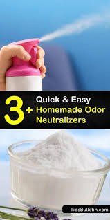Top picks related reviews newsletter. 3 Quick Easy Homemade Odor Neutralizers