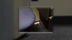 Orkin pest control in des moines ia is a joke. Rodent Issue Causing Concerns At State Building Weareiowa Com