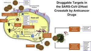 It has undergone testing, but has yet to be approved for general use. Repurposing Anticancer Drugs For The Management Of Covid 19 European Journal Of Cancer