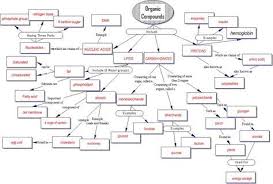 Biologically Important Organic Molecules Original Document