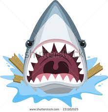 Thumb7 Shutterstock Com Display Pic With Logo 1387945 231102025 Stock Vector Shark Attack Jaw Teeth Mad Furious Shark Illustration Shark Pictures Shark Drawing