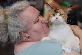 Die schönsten Katzen der Welt schnurren in Kulmbach um die Wette